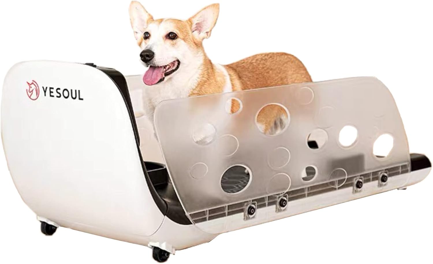 ペットラン　ペット用ランニングマシーン720F 犬用ランニングマシーン ペットラン 中大型犬 ルームランナー PR